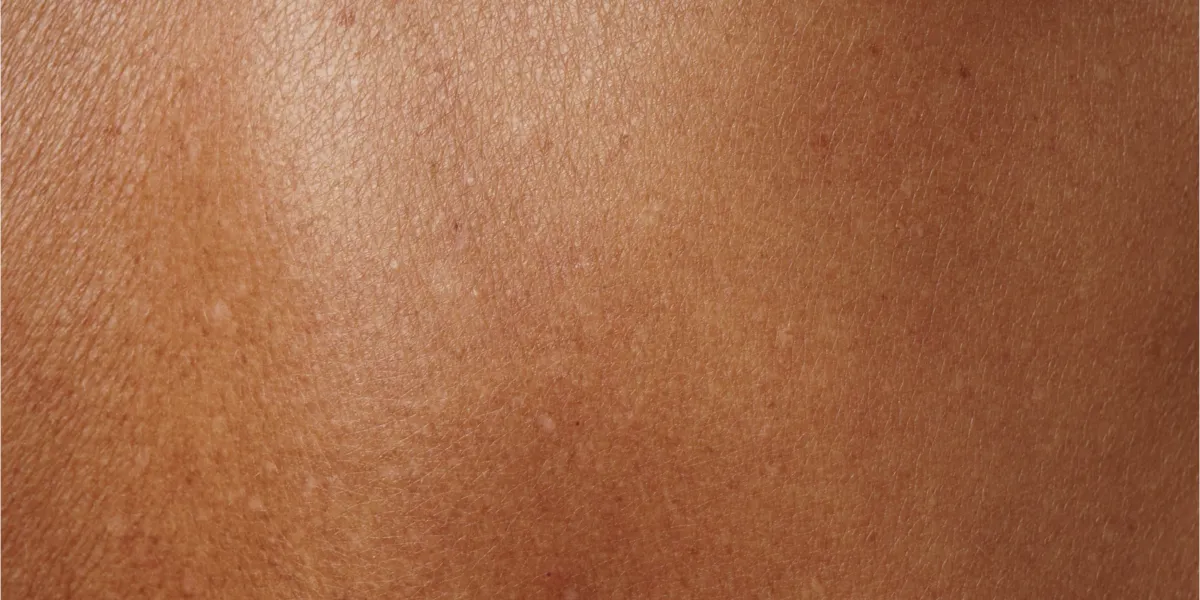 SANSARA Körperöl und Meisma Bodylotion